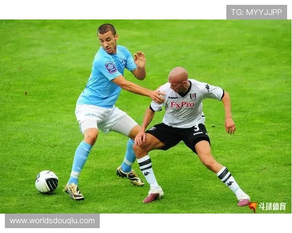 斗球电脑网页版怎么下载详细教程及最新方法推荐让你轻松掌握斗球网页版的下载步骤与技巧