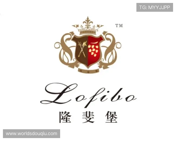 安卓用户必备的斗球直播最新版本下载指南，快速安装享受高清直播与多样赛事内容